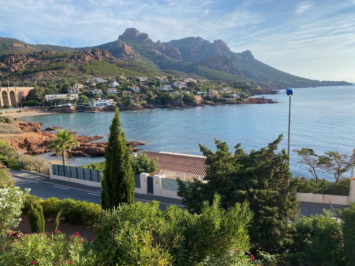 Studio Et Son Rooftop Panoramique, Antheor, Saint Raphael, Plage A Pieds Eksteriør billede